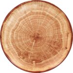 3 צלחות פורצלן דמוי עץ חום קוטר 27 ס"מ RAK