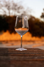 כוס קריסטל בוהמיה 450 מ"ל